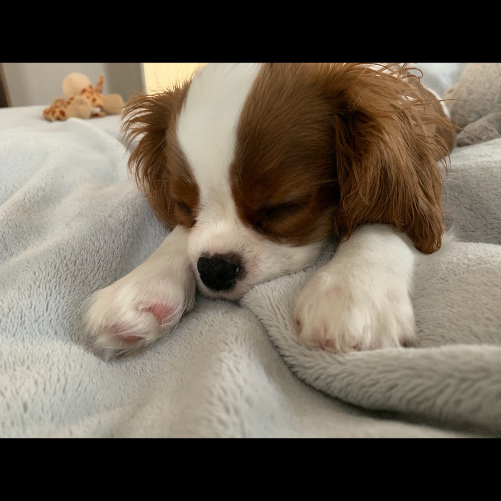 Meet your Posher, Denise